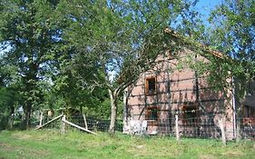 Le Vieux Tilleul
